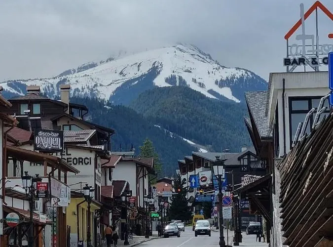 Belvedere Club Private *