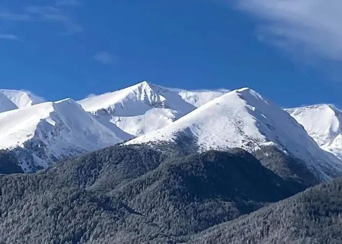 Belvedere Club Private Apartment *